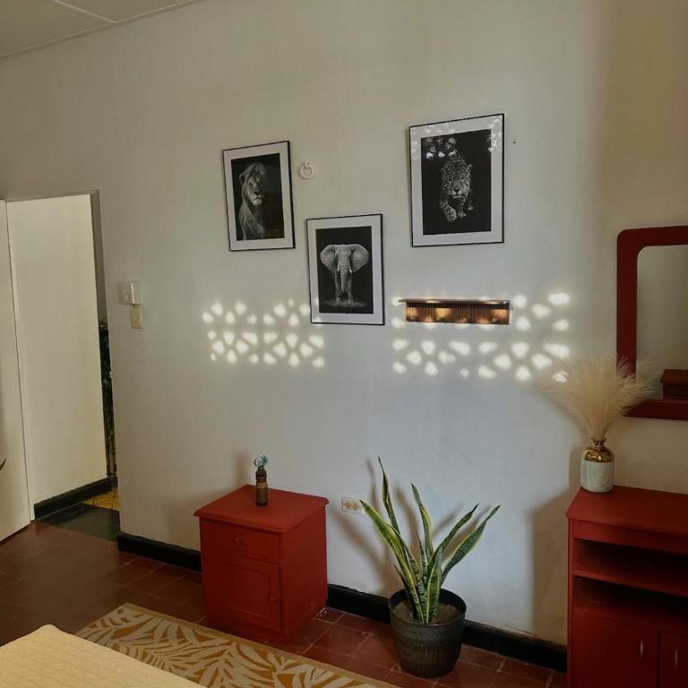 Templo Verde Eco hostal - Habitación Doble Estándar - 2