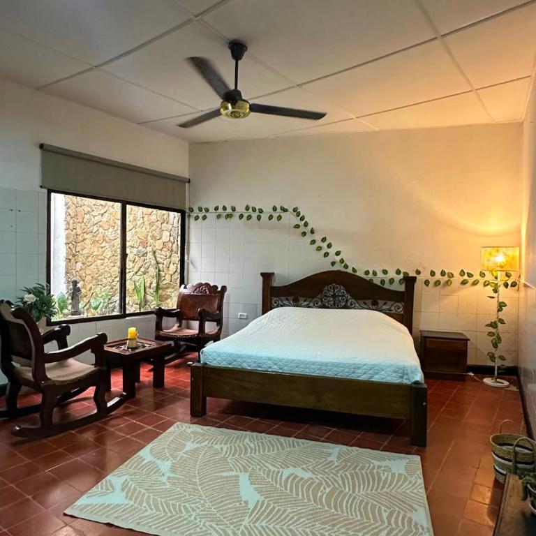 Templo Verde Eco hostal - Habitación con cama extragrande y vistas al jardín - 1