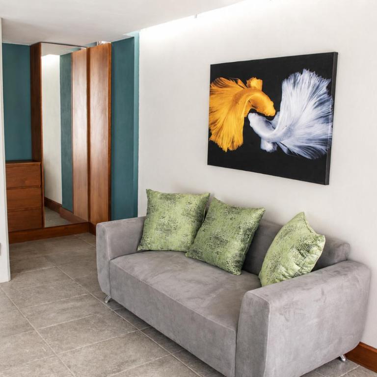 Loft Calzada de Los Leones - One-Bedroom Apartment - 6