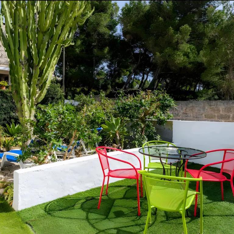 Cactus House - Three-Bedroom House - 20