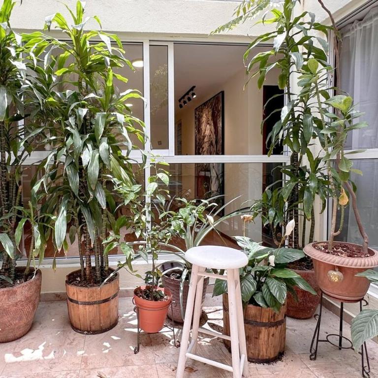 New Apt - 15 min to the Aztec Stadium - Home and Garden - Room #1661294001 - 12