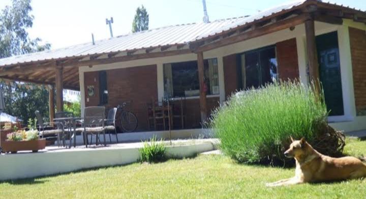 Cabañas el Arroyo - Casa de 2 dormitorios - 16