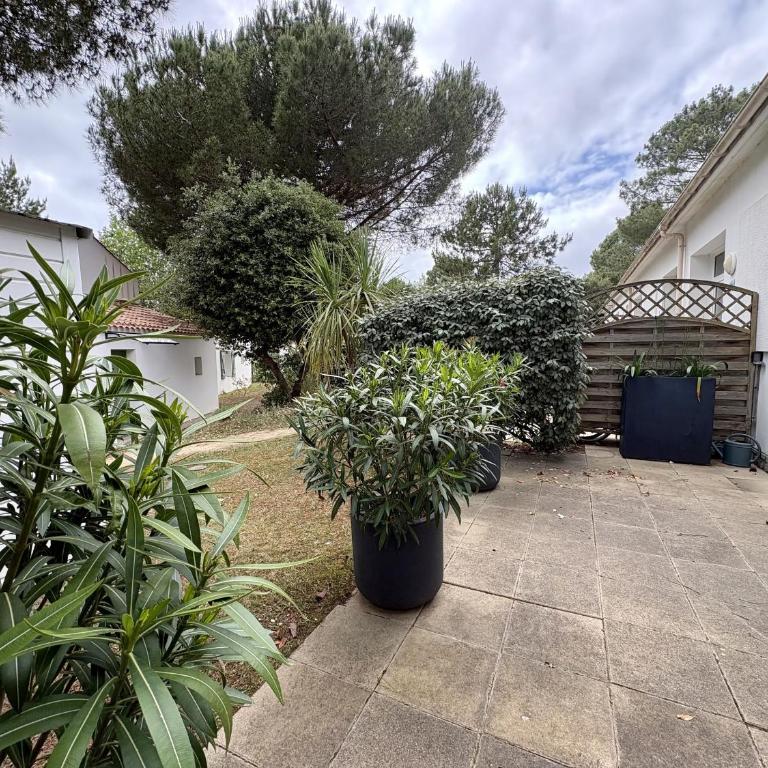 Maison charmante, animaux OK - 4 pers. - FR-1-323-623 - Appartement - 7