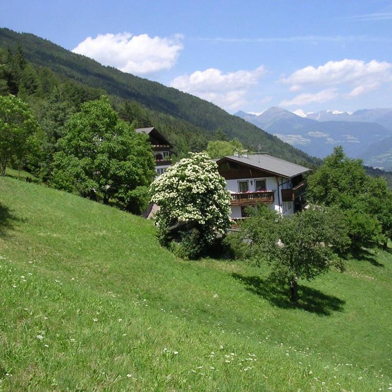Biogasthaus Plonerhof "sweet Dolomites view" - Camera Matrimoniale Standard - 1