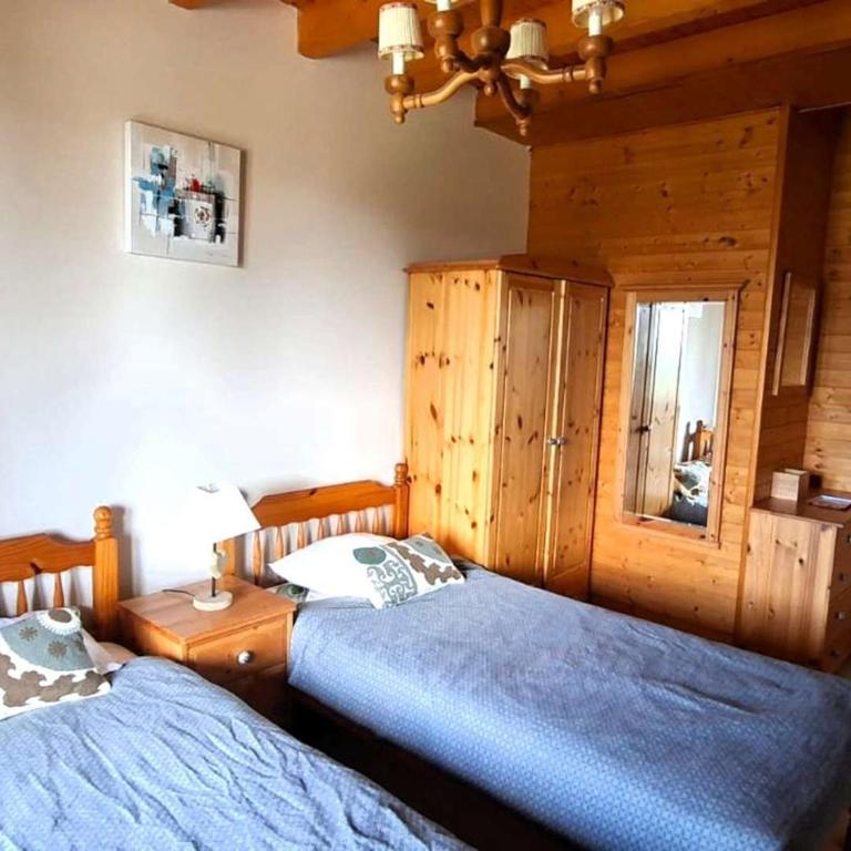 Grand chalet avec vue - 13 pers. - FR-1-802-105 - Chalet - 14
