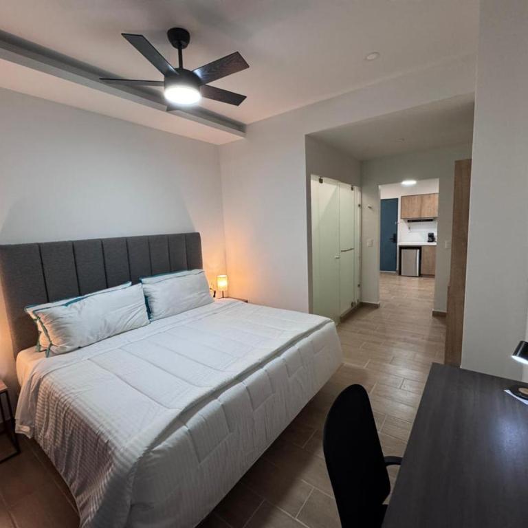 San Jeronimo Suites - Apartamento de 1 dormitorio - 1