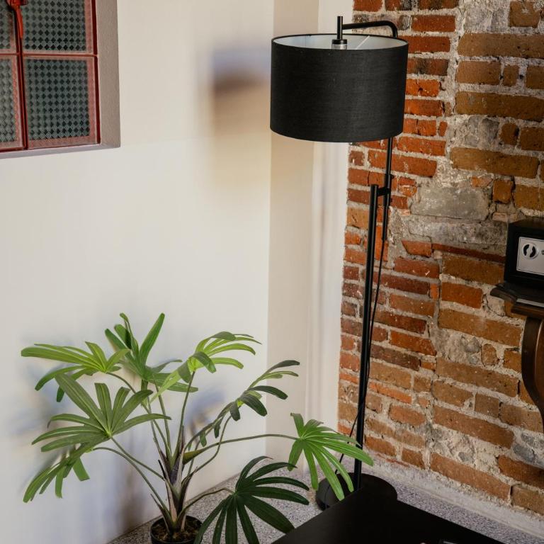 Loft #101 en centro histórico con balcones y terraza común - Apartment mit 1 Schlafzimmer - 31