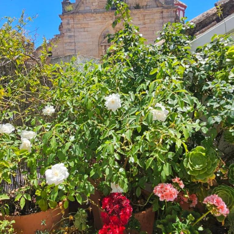 Apartamentos Los Descalzos Ángel With Private Terrace Free Parking - Apartment mit 1 Schlafzimmer - 2