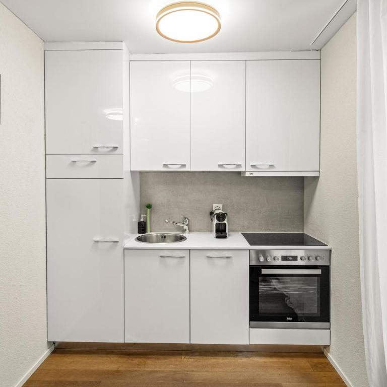 BERG & BERG Apartments - Luzern Self-Check-in - Superior Apartment - 14