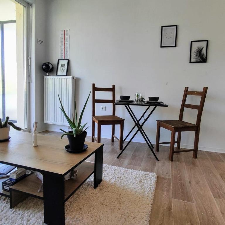 Le Salluste cosy T2 with balcony in Strasbourg - Apartment - 8