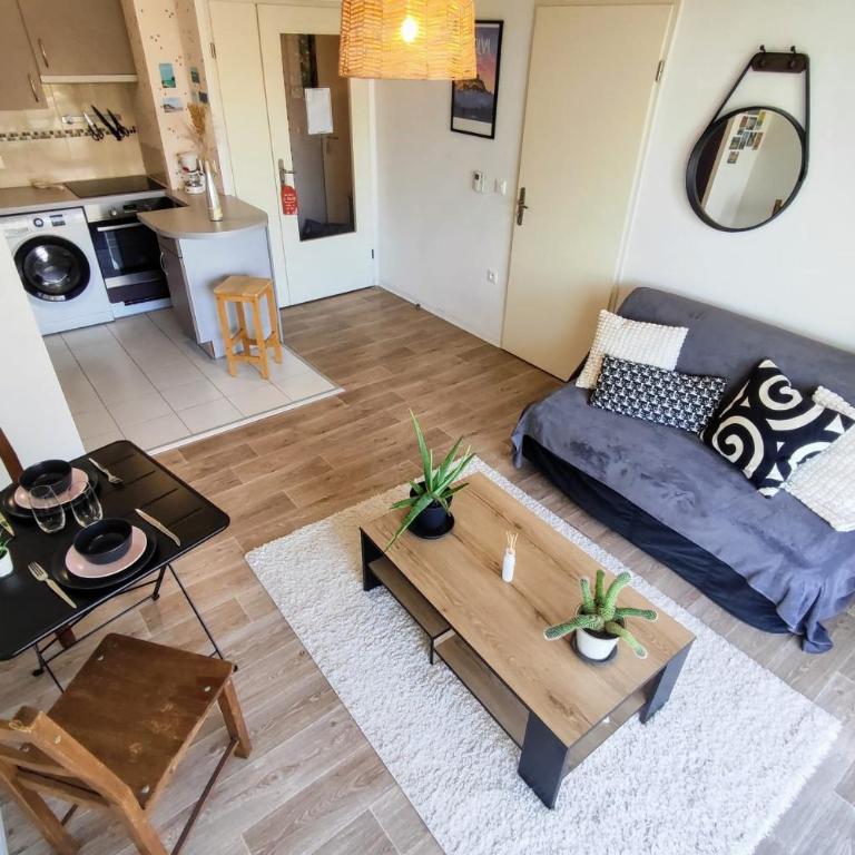 Le Salluste cosy T2 with balcony in Strasbourg - Apartment - 10