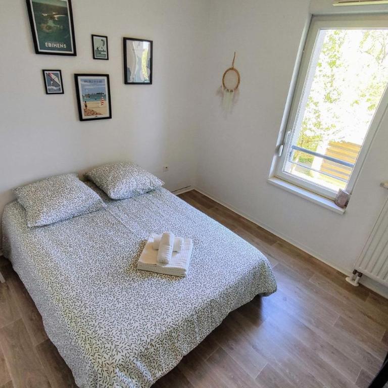Le Salluste cosy T2 with balcony in Strasbourg - Apartment - 15