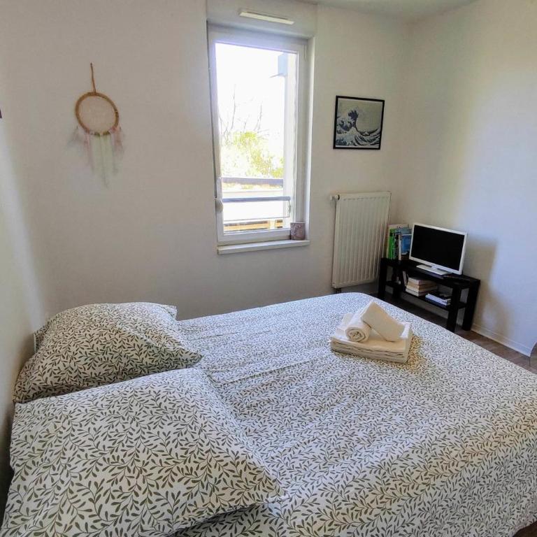 Le Salluste cosy T2 with balcony in Strasbourg - Apartment - 16