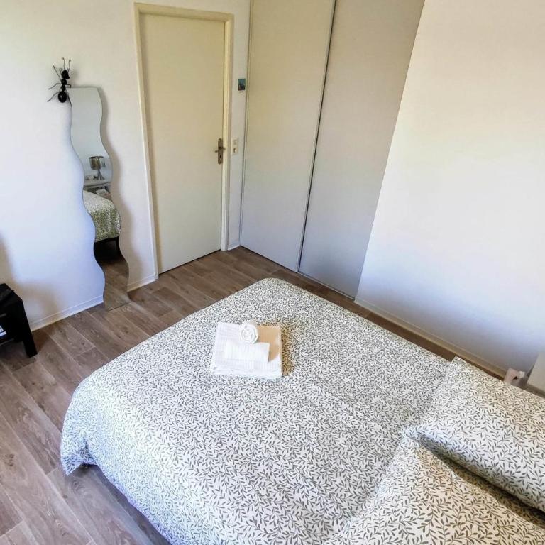 Le Salluste cosy T2 with balcony in Strasbourg - Apartment - 17