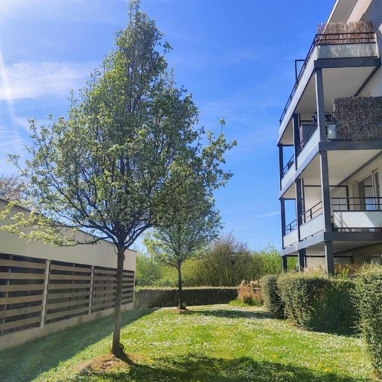 Le Salluste cosy T2 with balcony in Strasbourg - Apartment - 24