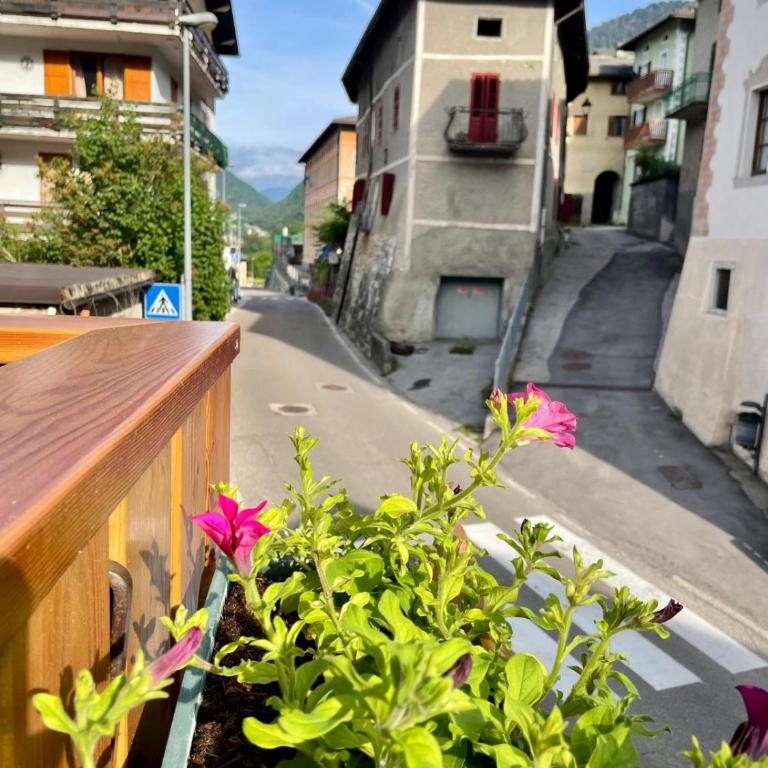 Alpina depandance - Habitación Deluxe (2 adultos + 1 niño) - 9