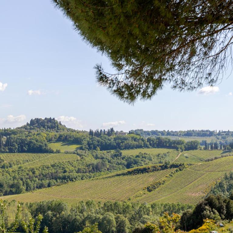 Agriturismo Poggio Rotondo - Appartamento con 2 Camere da Letto - 26