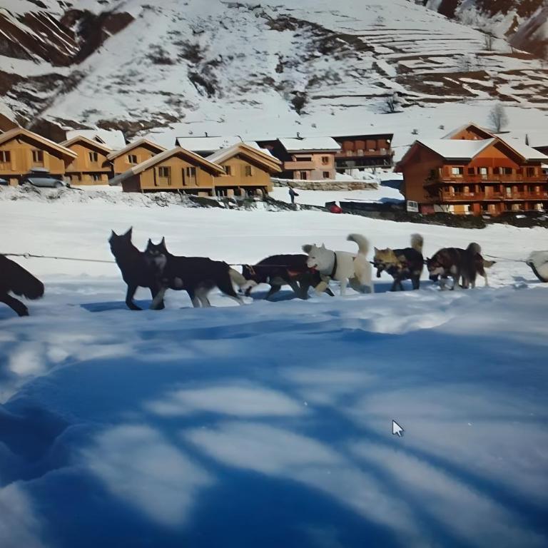 Studio Pegase Phenix - Studio - Vue sur Montagne - 24