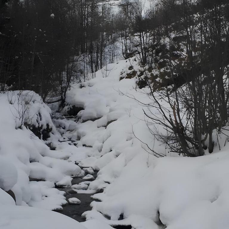Studio Pegase Phenix - Studio - Vue sur Montagne - 22