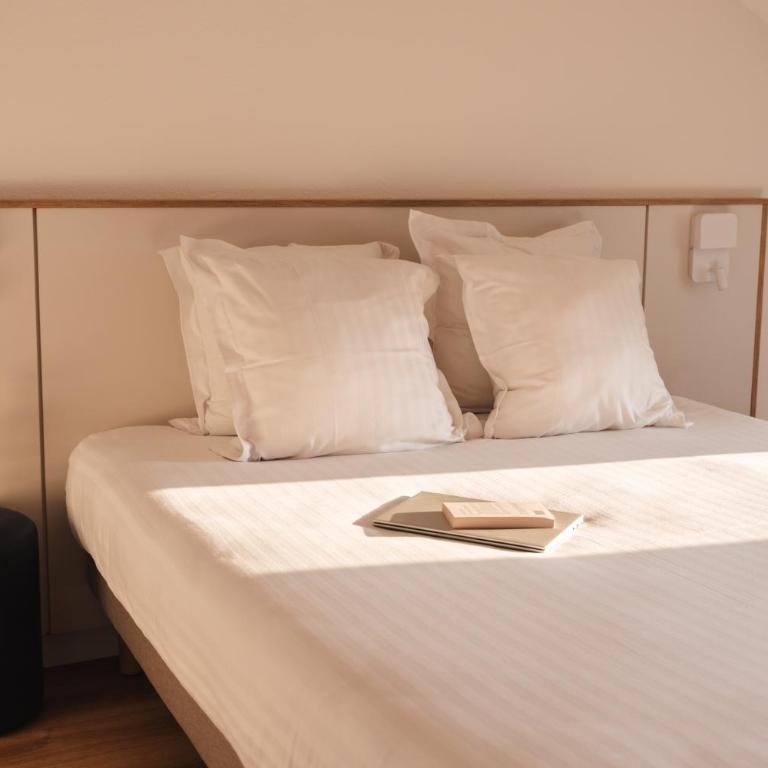 ROYAL Annecy Apparthôtel - Appartement 1 chambre pour 6 personnes - 1