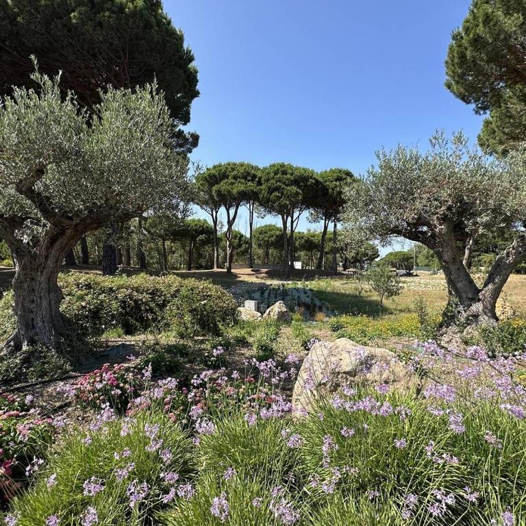 Joli Duplex avec vue sur Mer, 2 ou 3 couchages, Clim, 50m de la plage de Portiragnes LXCRAB8 - Apartment with Sea View - 17