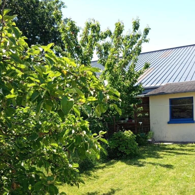 Bright house with garden near beach - Casa Vacanze - 10