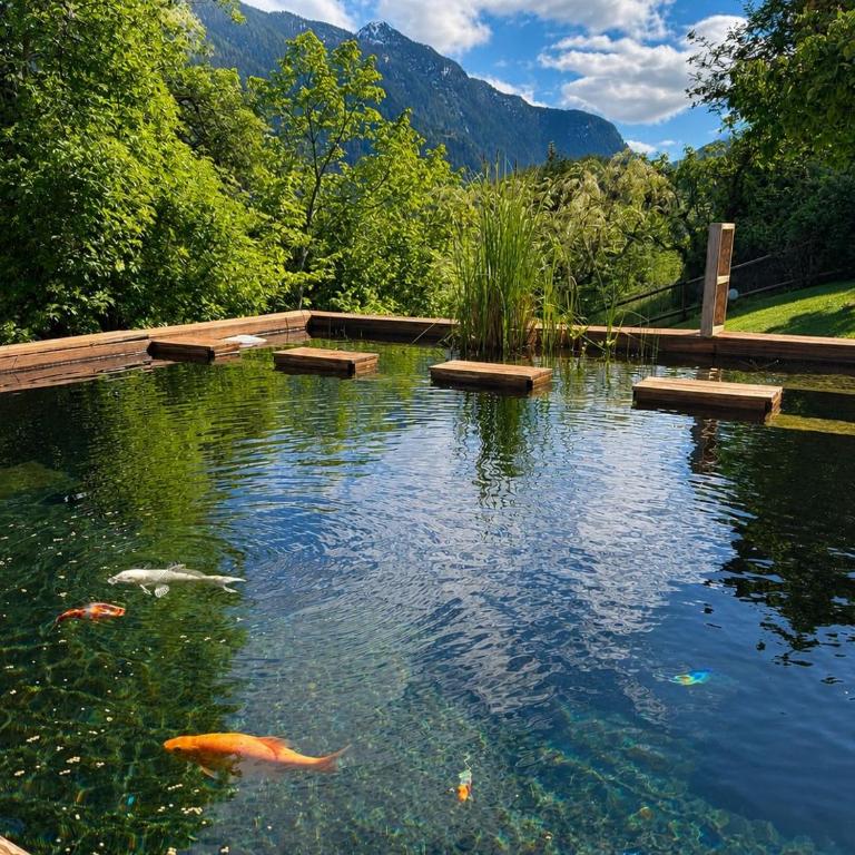 L'Aiglon- Piscine Naturelle Privatisable - Apartment mit 1 Schlafzimmer und Garten - 1