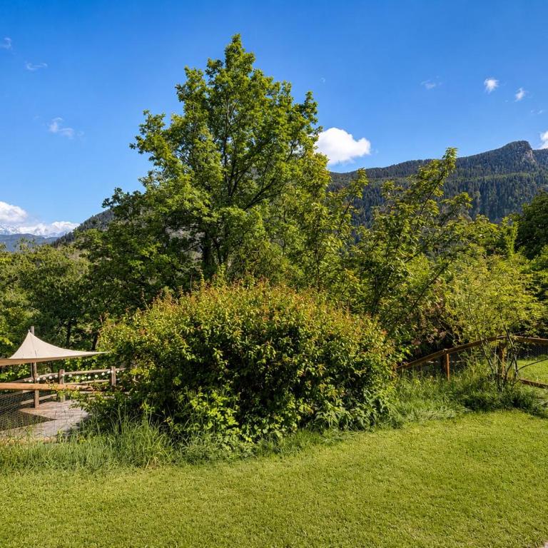 L'Aiglon- Piscine Naturelle Privatisable - Apartment mit 1 Schlafzimmer und Garten - 10