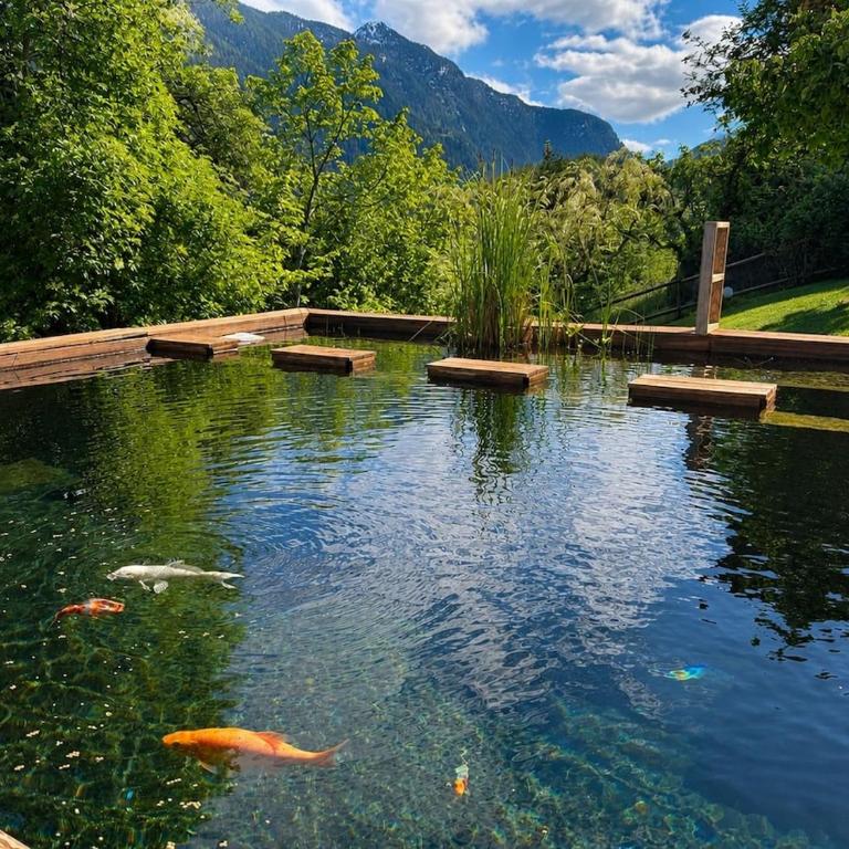 L'Aiglon- Piscine Naturelle Privatisable - Apartment mit 1 Schlafzimmer und Garten - 26