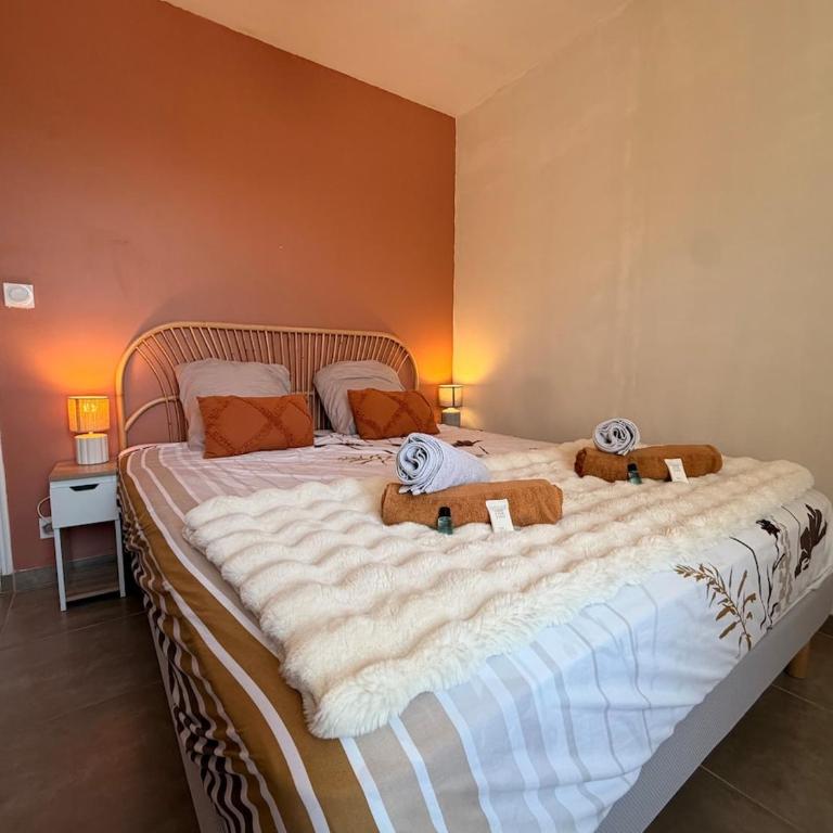 Le Soleya - Clim- Terrasse - Appartement 1 Chambre - 2