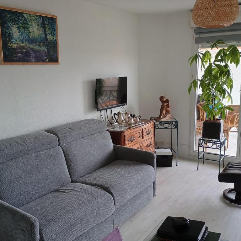 Appartement lumineux centre-ville - 2 pers. - FR-1-319-642 - Appartamento - 1