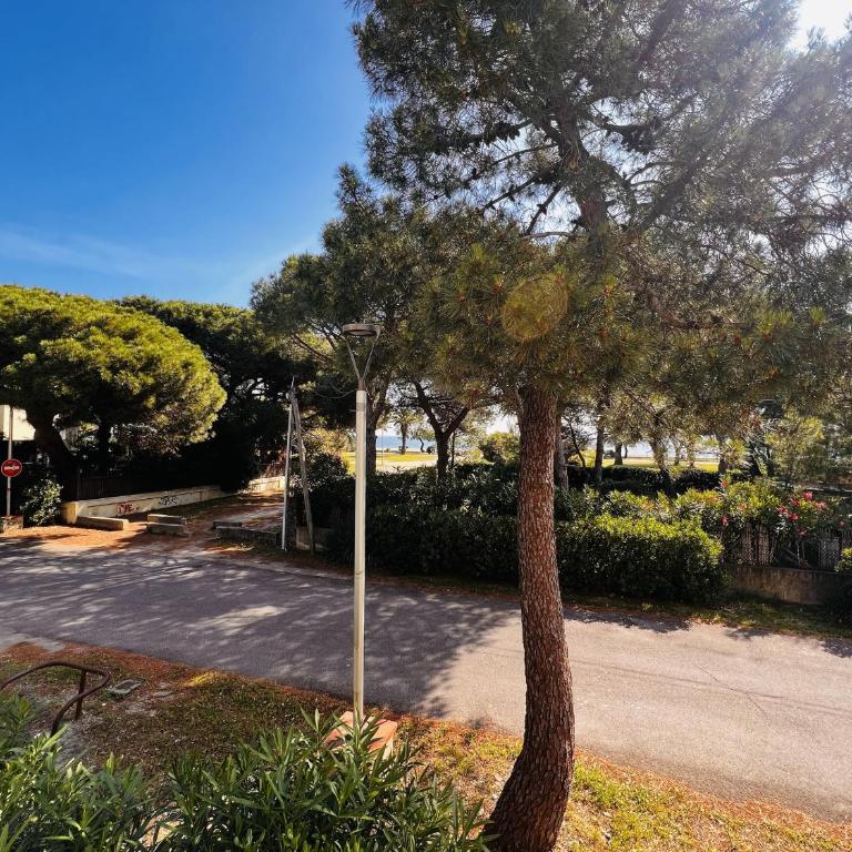 Appartement, climatisation, vue mer - 4 pers. - FR-1-309-581 - Appartement - 10