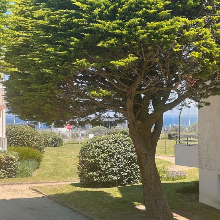 Studio agréable, balcon vue mer - 3 pers. - FR-1-478-336 - Studio - 15