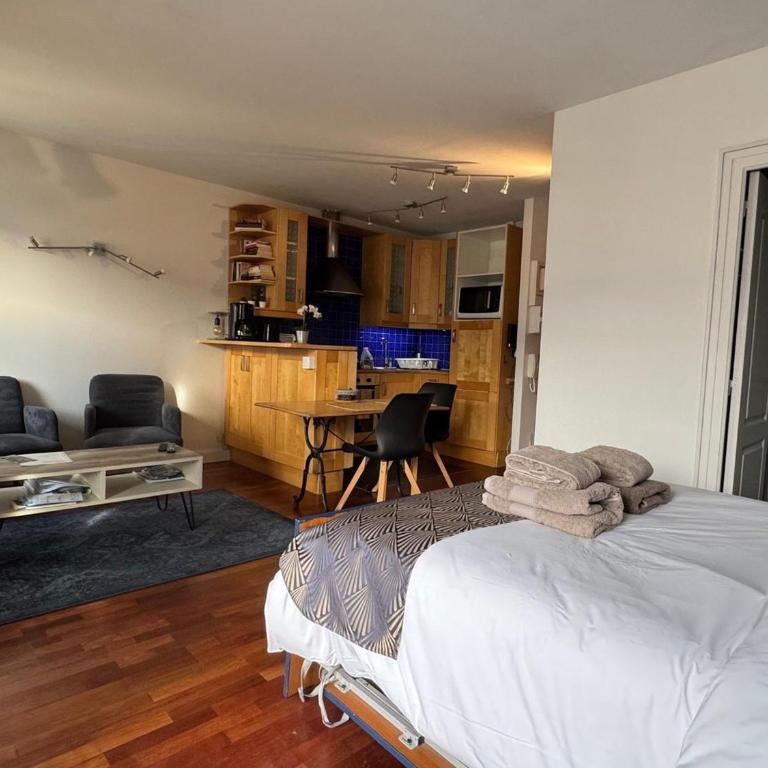 Appartement avec vue montagne - 2 pers. - FR-1-555-129 - Estudio - 4