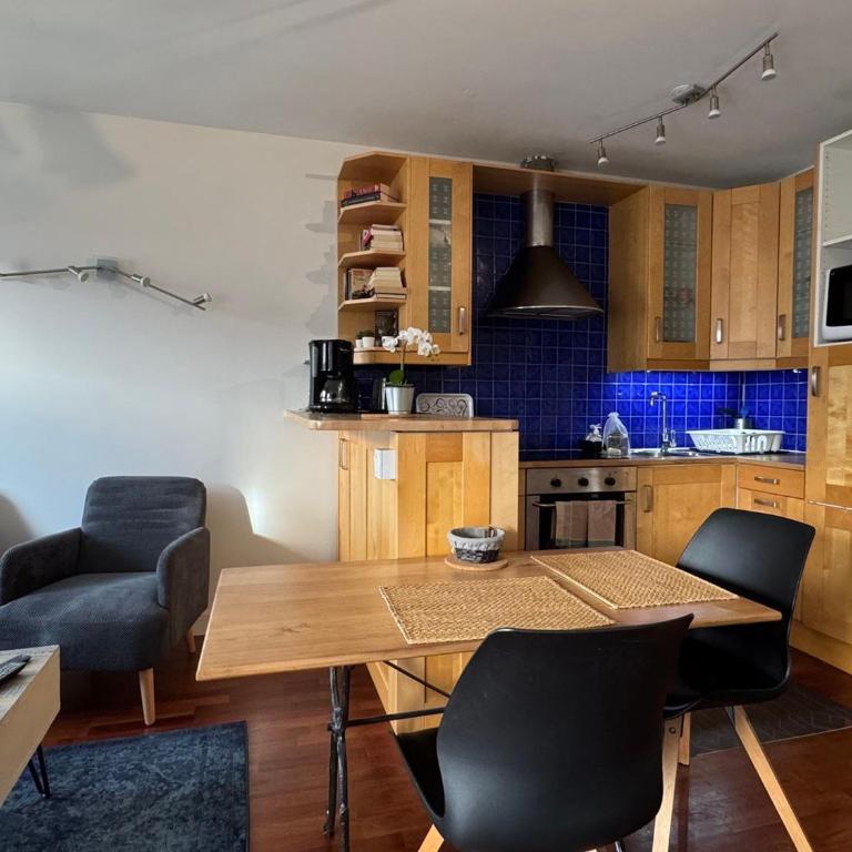 Appartement avec vue montagne - 2 pers. - FR-1-555-129 - Estudio - 9