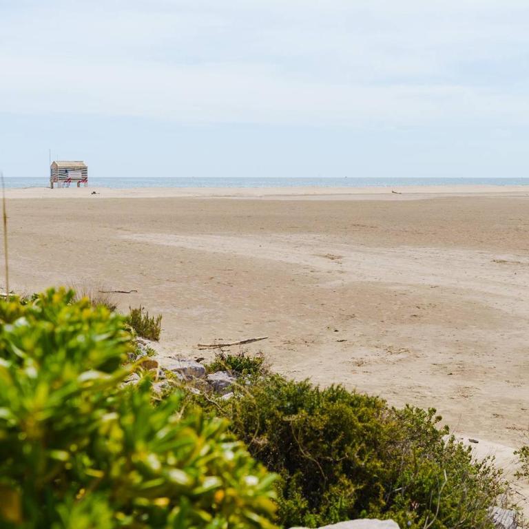 Appartement vue mer - 4 pers. - FR-1-409-303 - Apartamento - 14