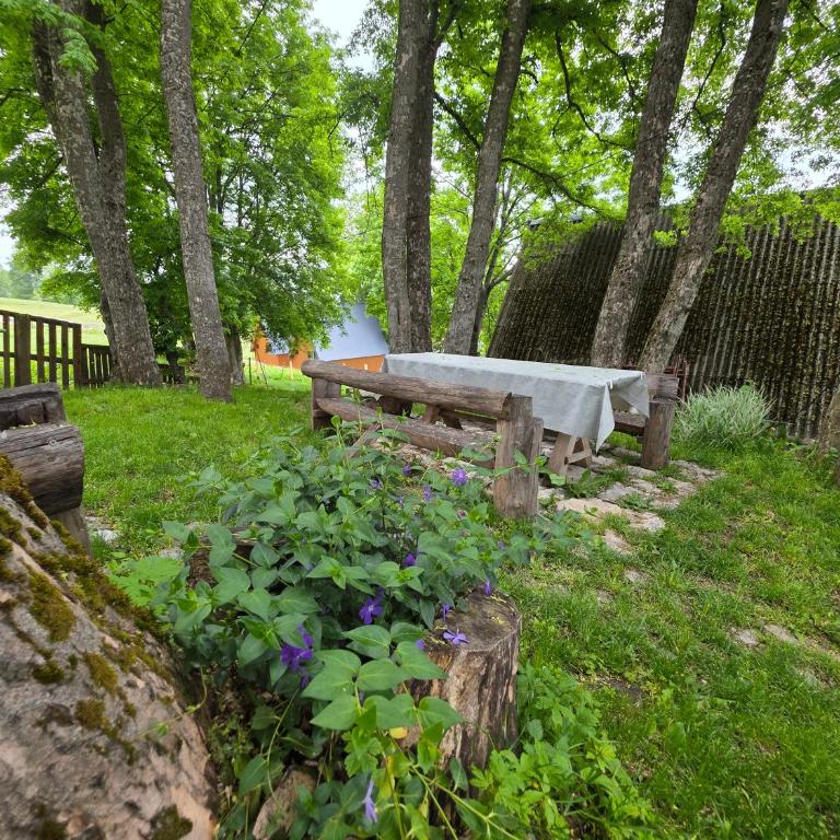 Apartments Javorje Žabljak - Studio - 1