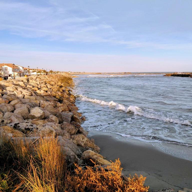 Grand appartement avec terrasse Plage à 6 min à pied Climatisation Saintes maries de la mer - Appartamento con 1 Camera da Letto - 23