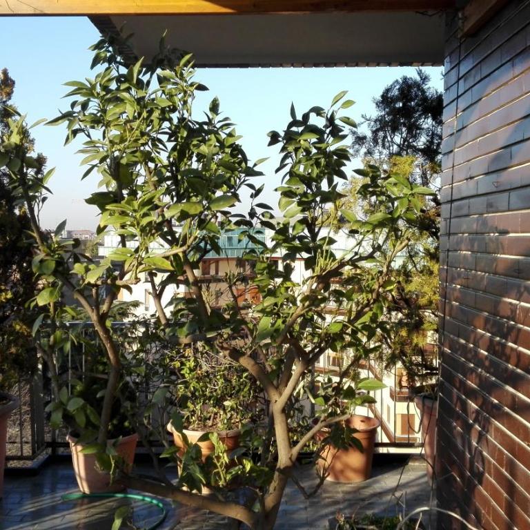 Buonarroti Roof Garden Mita Milano - Double or Twin Room with Terrace - 41