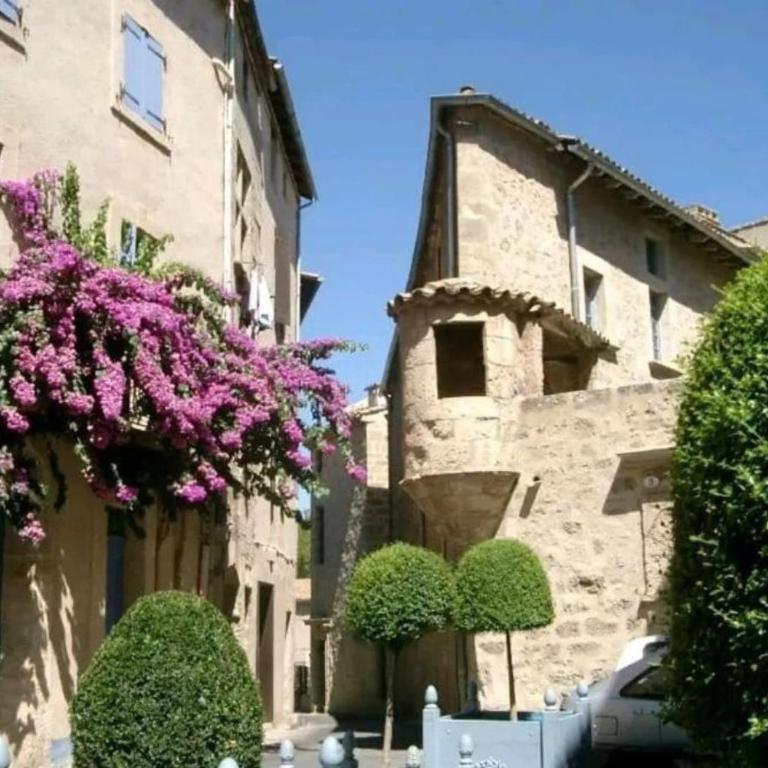 Au Pied De La Colline calme et détente Pézenas - Appartement 1 Chambre - 25