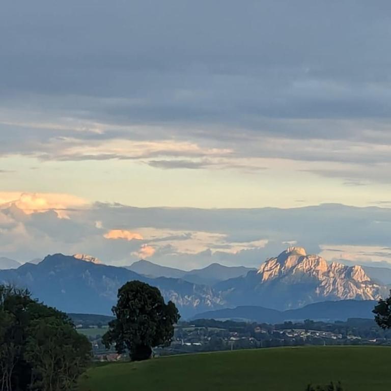 Große Ferienwohnung im Allgäu mit Bergblick, Garten & Balkon - Apartment - 4