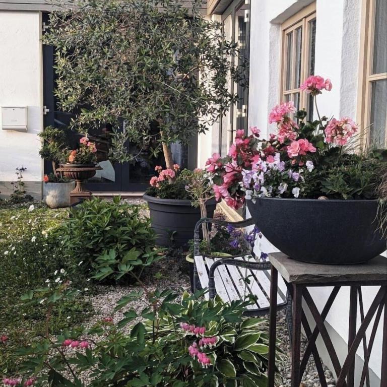 Große Ferienwohnung im Allgäu mit Bergblick, Garten & Balkon - Apartment - 42