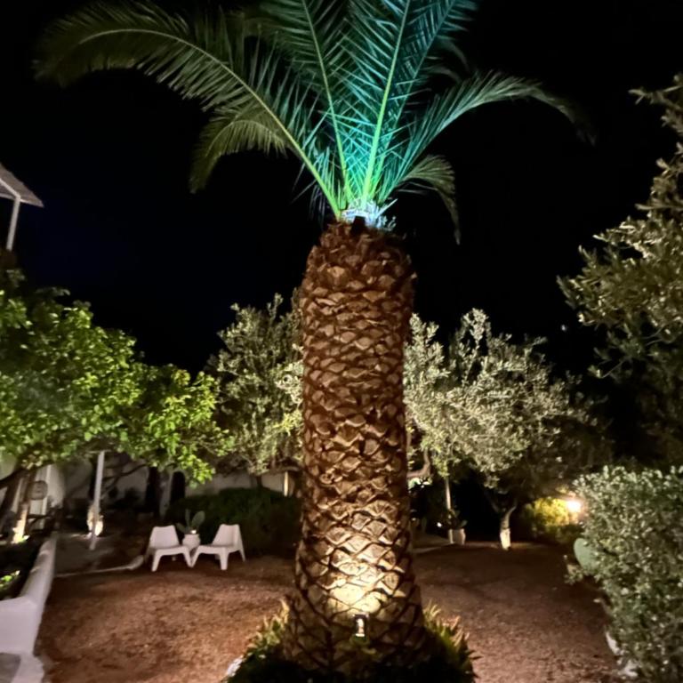 Residence Guidaloca - Appartamento con 2 Camere da Letto - 5