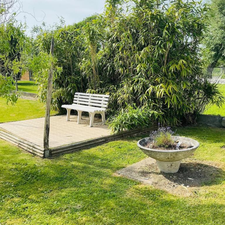 Berck T2 RDC cosy avec extérieur et parking COTE JARDIN - One-Bedroom Apartment - 10