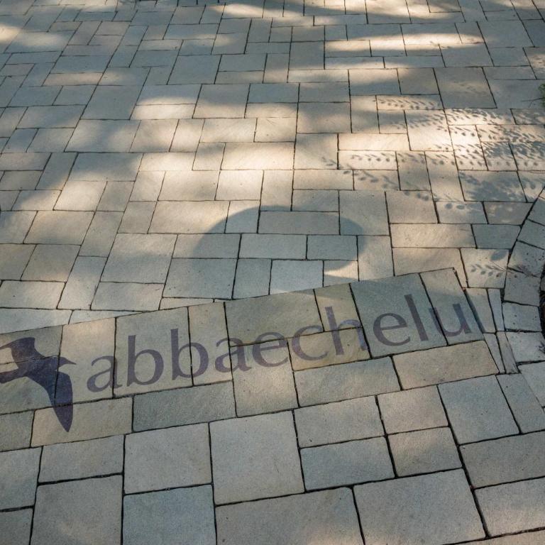 Lush Residenza Abbaechelu B4-1Bed Apartment sleep4 - Appartamento - 15