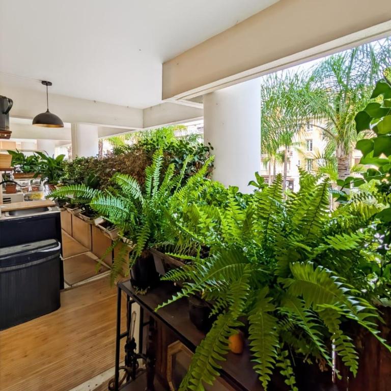 Apt near Monaco center, Rickeys - Appartement 1 Chambre - 7