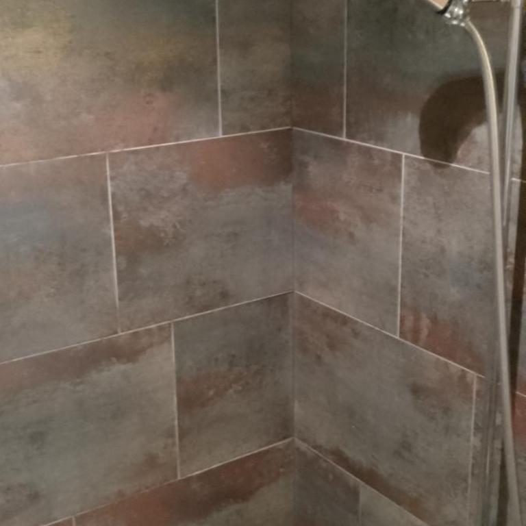 Studio in St Moritz Champfer - Apartment mit 1 Schlafzimmer - 5