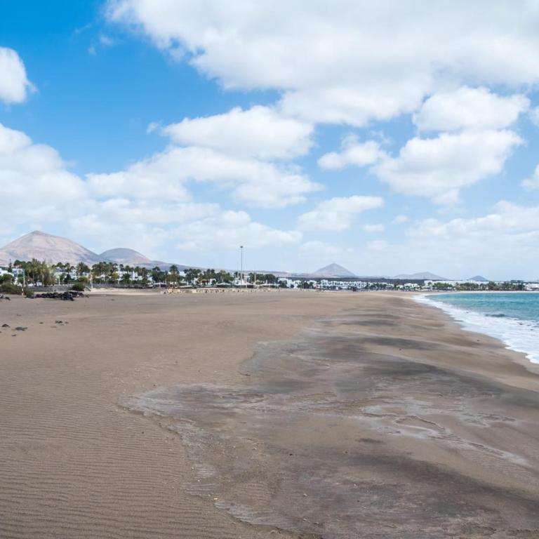Casa Coral with sea views & AC - Apartamento - 22