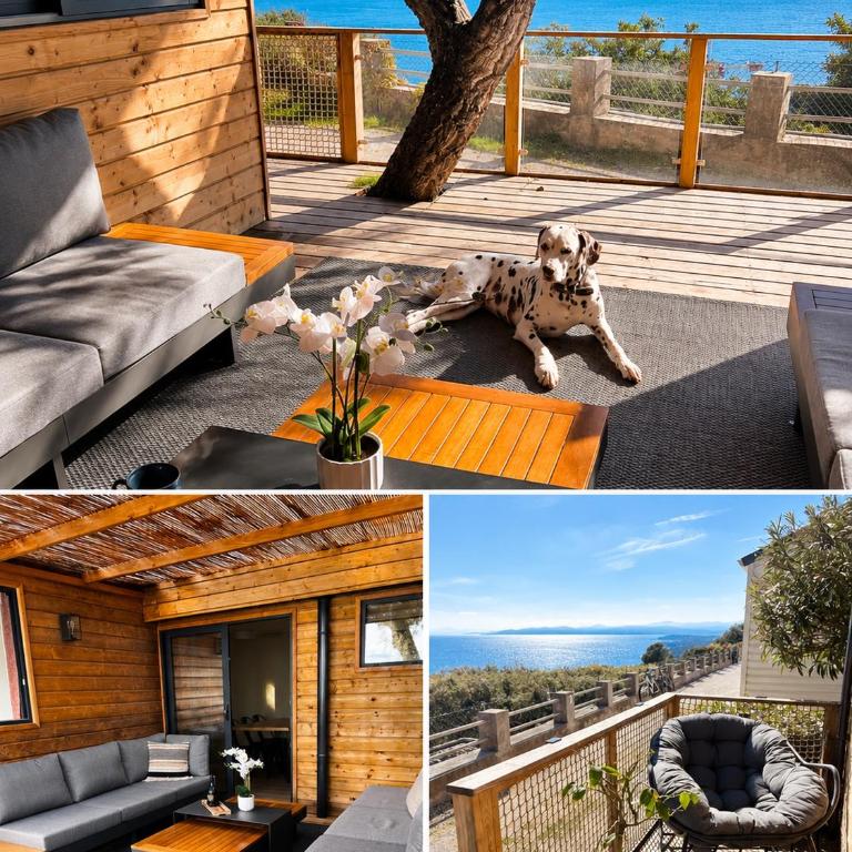 Fantastic new lodge with ocean view - Haus mit 2 Schlafzimmern - 1