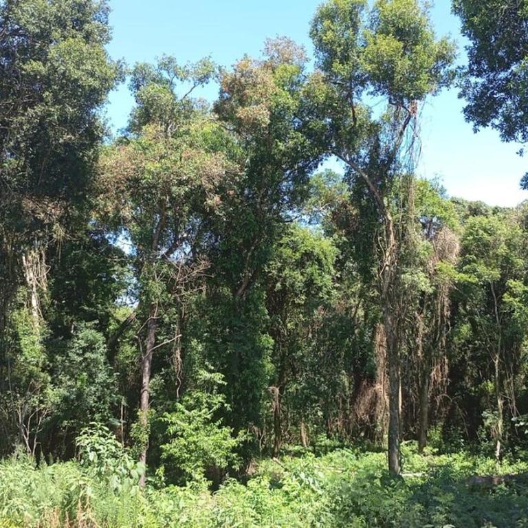 Encantos del Monte - Casa de 2 dormitorios - 17